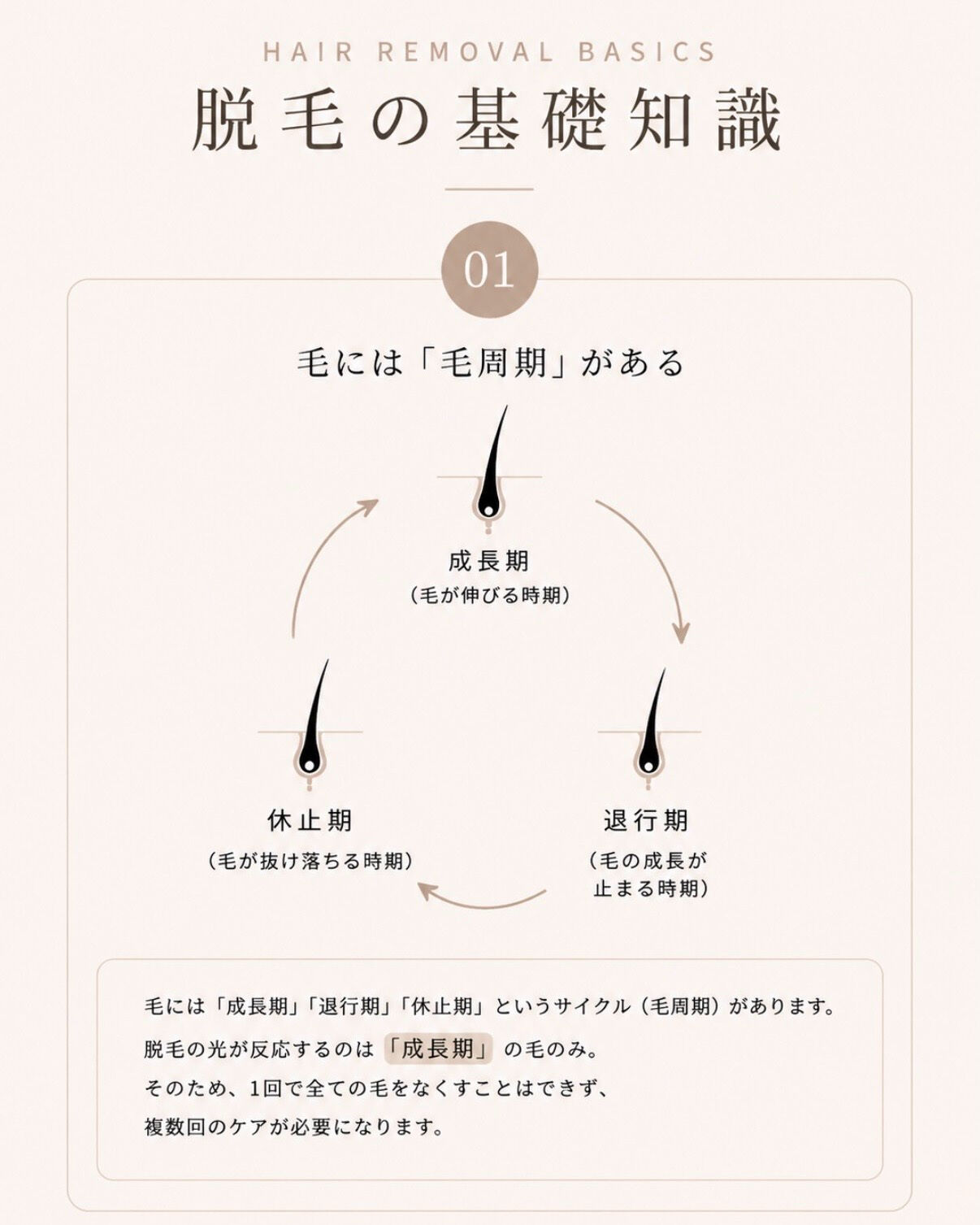 脱毛って、1回で終わらないのはなぜ？🤔