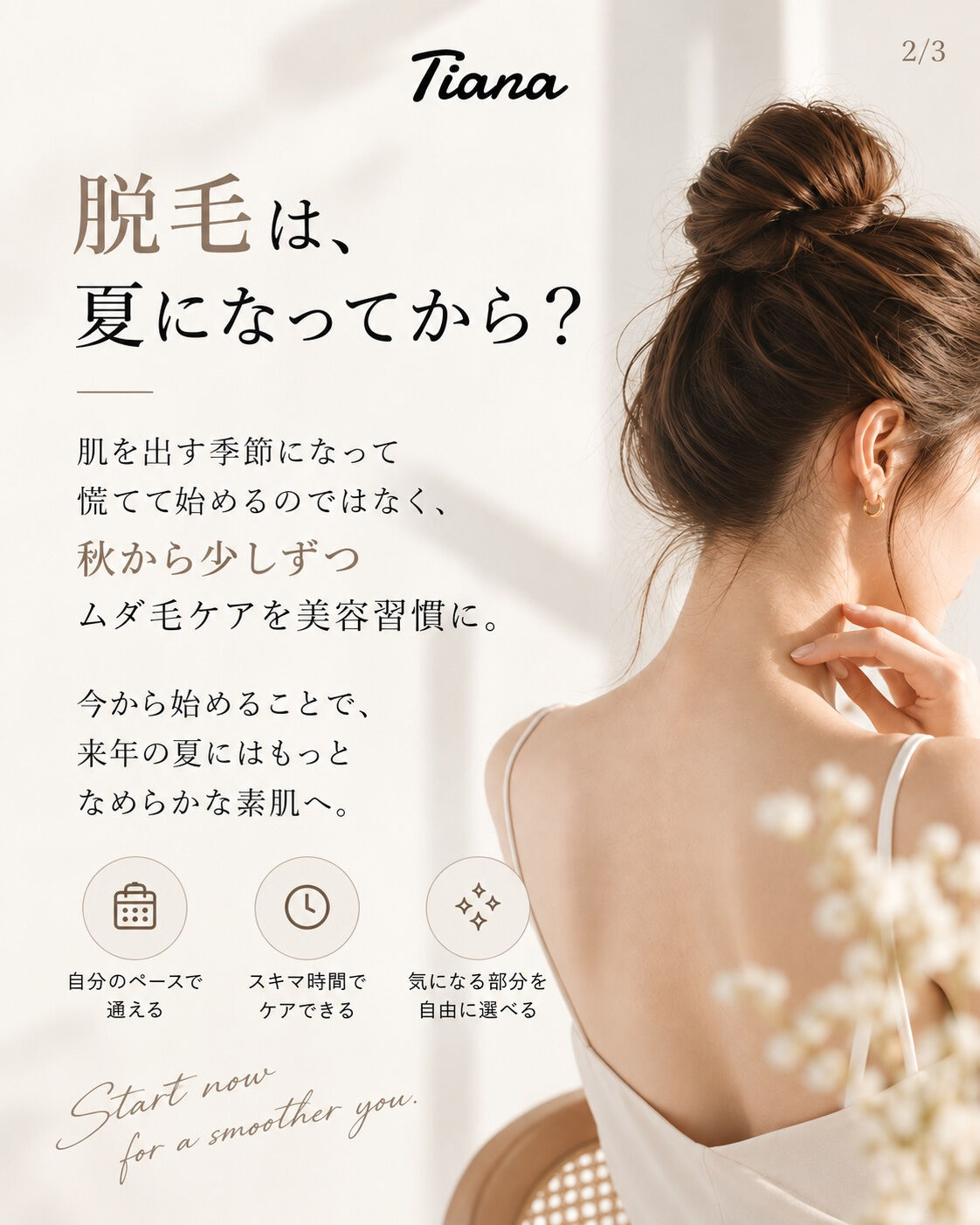 来年の夏は、今からつくる